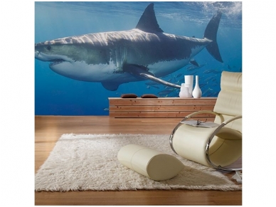 AP DIGITAL fototapetai 470097 White Shark 1