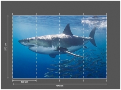 AP DIGITAL fototapetai 470097 White Shark 2