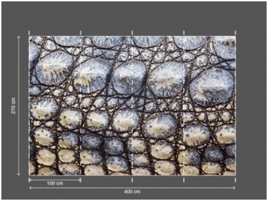 AP DIGITAL fototapetai 470098 Croco 2 AP DIGITAL fototapetai 470098 Croco 2