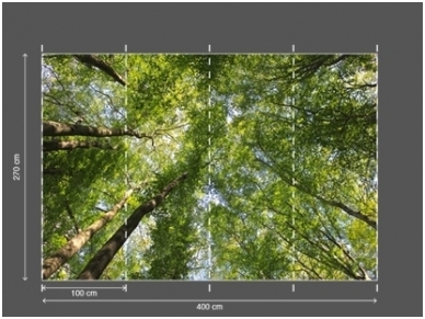AP DIGITAL fototapetai 470105 Canopy 2