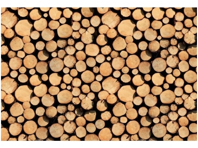 AP DIGITAL fototapetai 470113 Stack of Wood