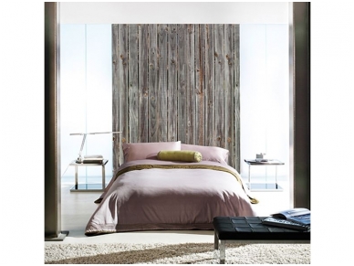 AP DIGITAL fototapetai 470114 Plank Dark 1
