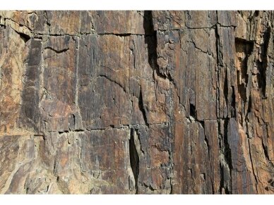 AP DIGITAL fototapetai 470130 Rock Face 1