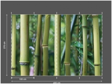 AP DIGITAL fototapetai 470137 Bamboo 2