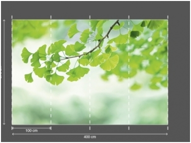 AP DIGITAL fototapetai 470139 Ginko 2