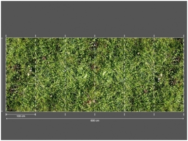 AP DIGITAL fototapetai 470140 Simple Green 2