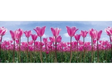 AP DIGITAL fototapetai 470141 Tulip Forest AP DIGITAL fototapetai 470141 Tulip Forest
