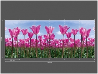 AP DIGITAL fototapetai 470141 Tulip Forest 2