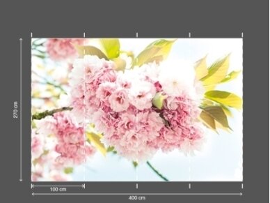 AP DIGITAL fototapetai 470143 Spring Time 2