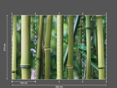 AP DIGITAL fototapetai 470137 Bamboo 2