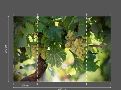 AP DIGITAL fototapetai 470138 Wine Art 2