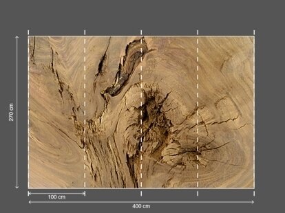 AP DIGITAL 2 fototapetai 470428 3