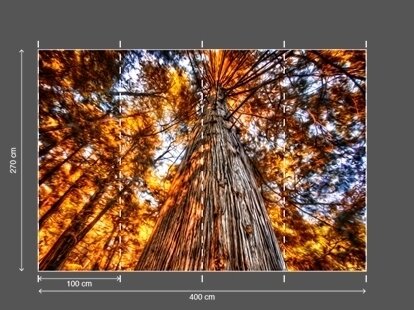 AP DIGITAL 2 fototapetai 470452 2