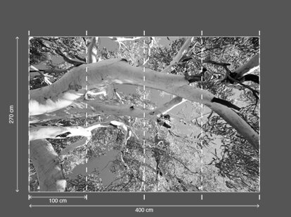 AP DIGITAL fototapetai 470068 Tree Tops 2