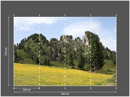 AP DIGITAL 2 fototapetai 470494 2