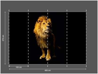 AP DIGITAL fototapetai 470037 Lion 2