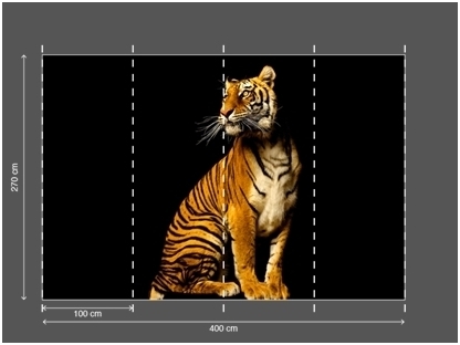 AP DIGITAL fototapetai 470038 Tiger 2 AP DIGITAL fototapetai 470038 Tiger 2