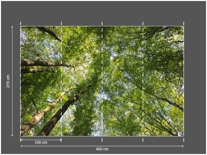 AP DIGITAL fototapetai 470105 Canopy 2 AP DIGITAL fototapetai 470105 Canopy 2