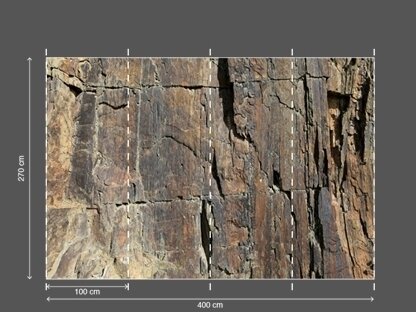AP DIGITAL fototapetai 470130 Rock Face 1 2