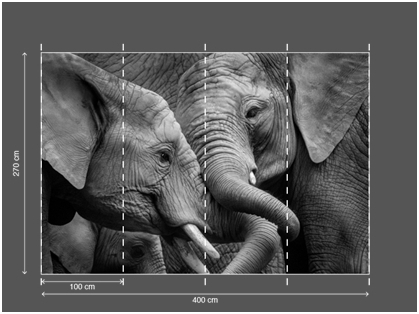 AP DIGITAL 2 fototapetai 470511 2