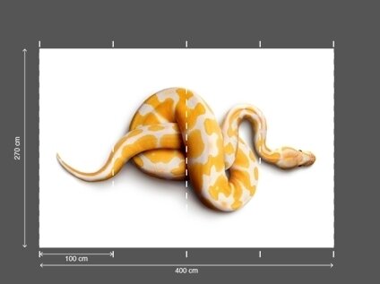 AP DIGITAL fototapetai 470031 Snake 2 AP DIGITAL fototapetai 470031 Snake 2