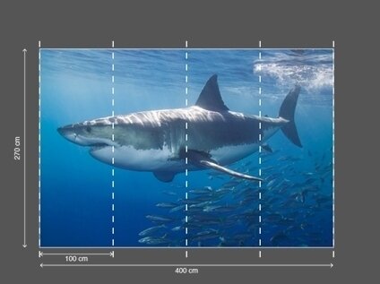 AP DIGITAL fototapetai 470097 White Shark 2
