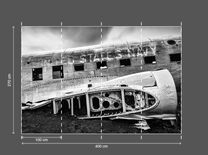 AP DIGITAL 2 fototapetai 470517 2