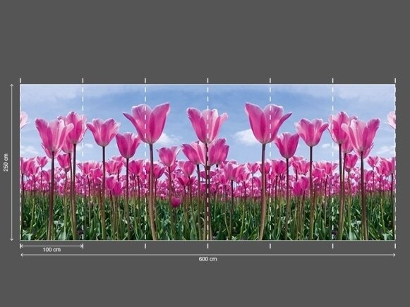 AP DIGITAL fototapetai 470141 Tulip Forest 2