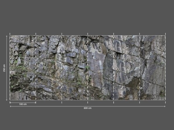 AP DIGITAL 2 fototapetai 470448 3