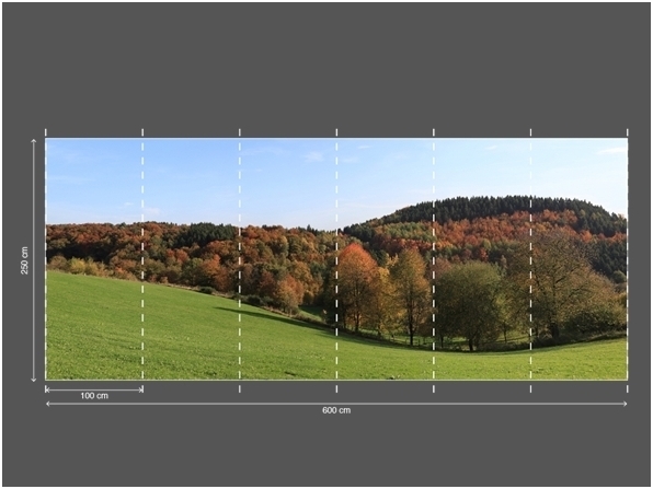 AP DIGITAL 2 fototapetai 470489 3