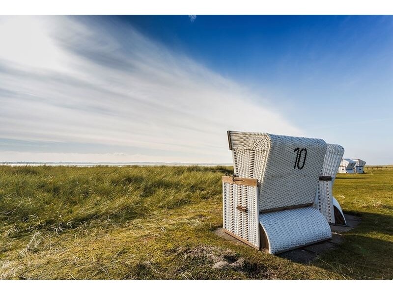AP DIGITAL 2 fototapetai 470464