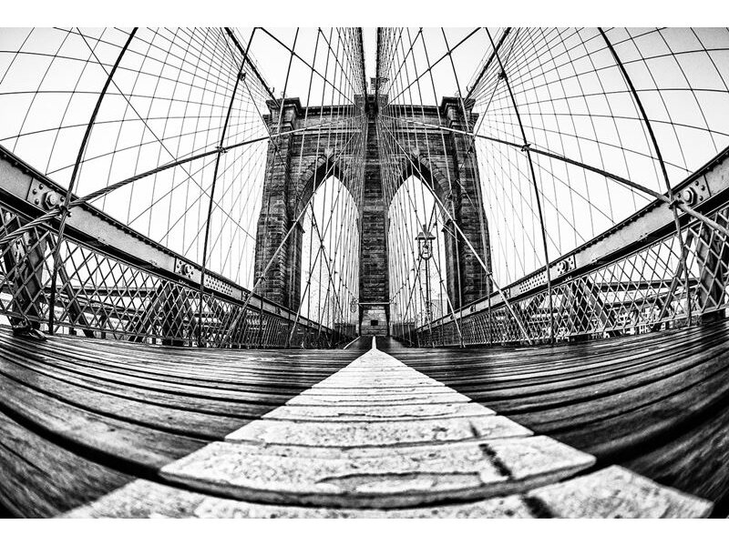 AP DIGITAL 2 fototapetai 470521