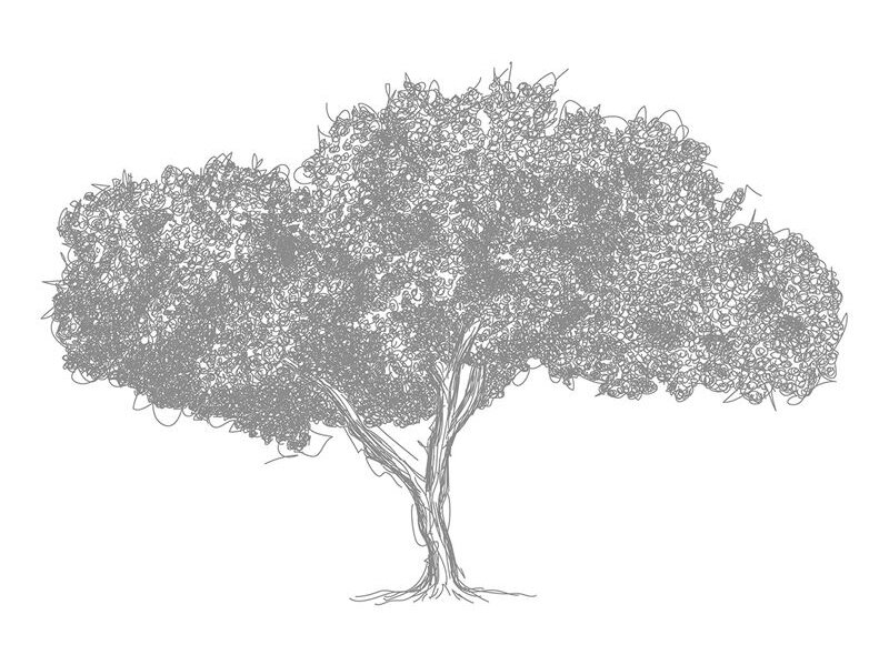AP DIGITAL 2 fototapetai 470535