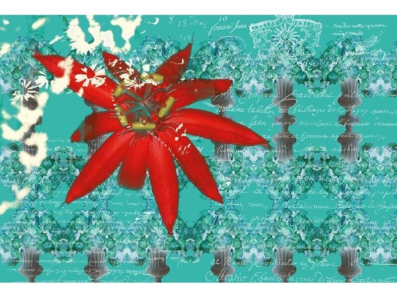 AP DIGITAL fototapetai 470010 Floral Red AP DIGITAL fototapetai 470010 Floral Red