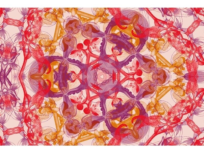 AP DIGITAL fototapetai 470015 Blossom Pentacle AP DIGITAL fototapetai 470015 Blossom Pentacle