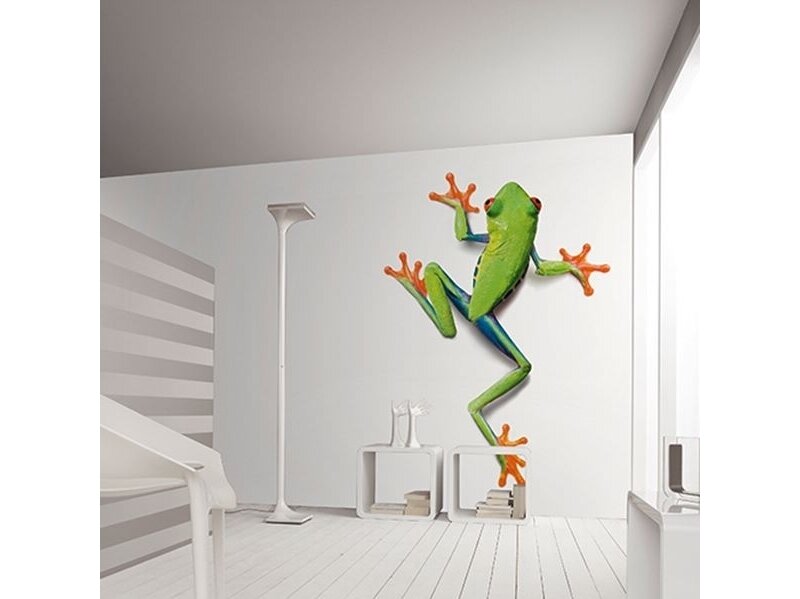 AP DIGITAL fototapetai 470032 Frog 1 AP DIGITAL fototapetai 470032 Frog 1