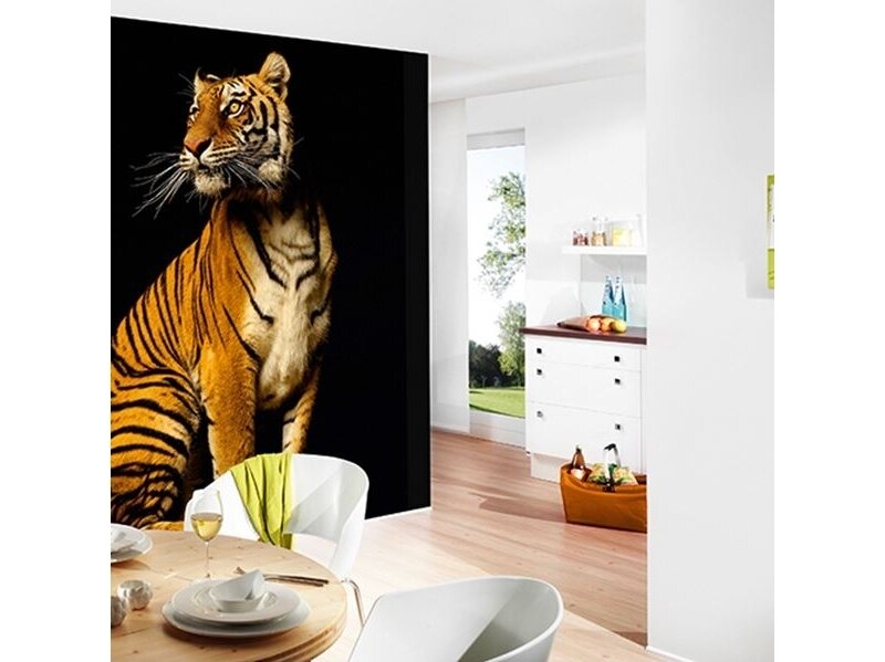 AP DIGITAL fototapetai 470038 Tiger 1 AP DIGITAL fototapetai 470038 Tiger 1