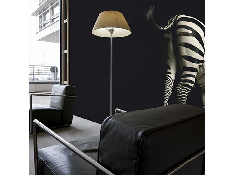 AP DIGITAL fototapetai 470039 Zebra 1