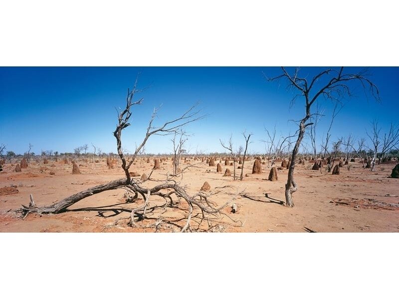 AP DIGITAL fototapetai 470060 Outback
