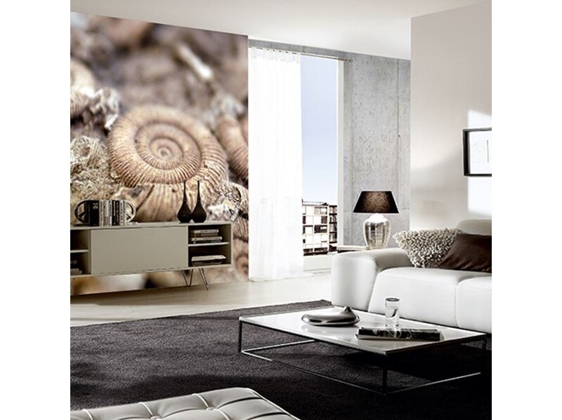 AP DIGITAL fototapetai 470063 Fossil 1