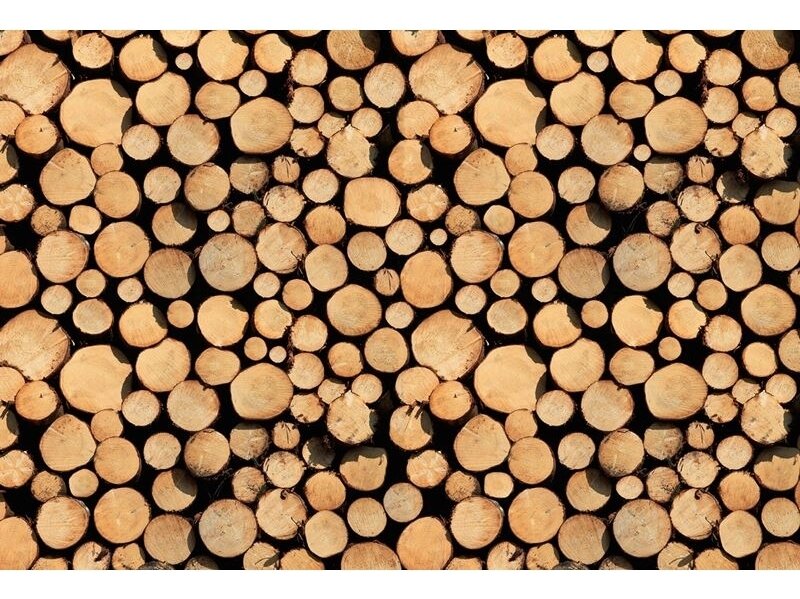 AP DIGITAL fototapetai 470113 Stack of Wood AP DIGITAL fototapetai 470113 Stack of Wood
