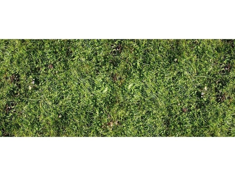 AP DIGITAL fototapetai 470140 Simple Green AP DIGITAL fototapetai 470140 Simple Green
