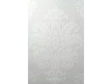 Dažomi tapetai 169010
