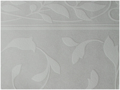 Dažomas panelis 171402 1