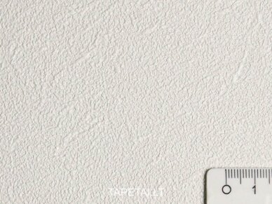 Dažomi tapetai 35066-1 1