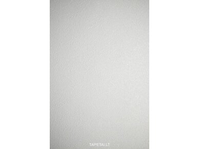 Dažomi tapetai 35066-1