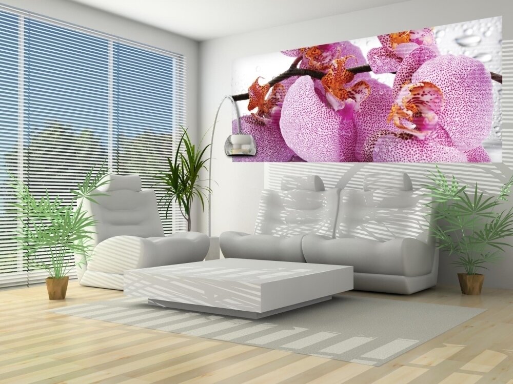 FOR WALL fototapetai 0184VEP 1 FOR WALL fototapetai 0184VEP 1