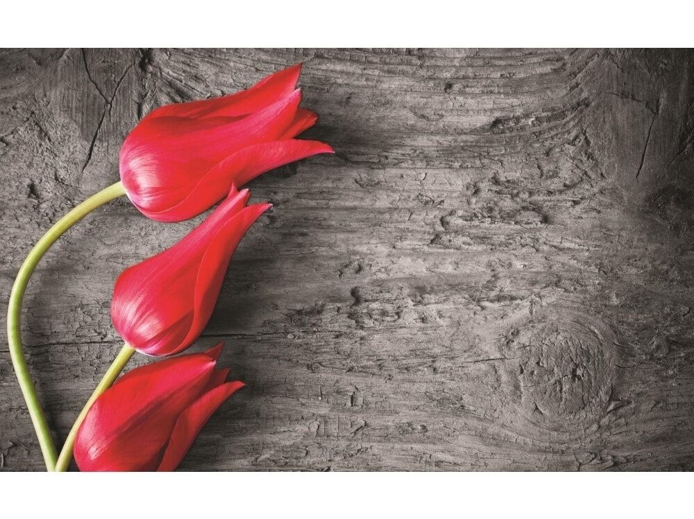 FOR WALL fototapetai 0282VE XXXL