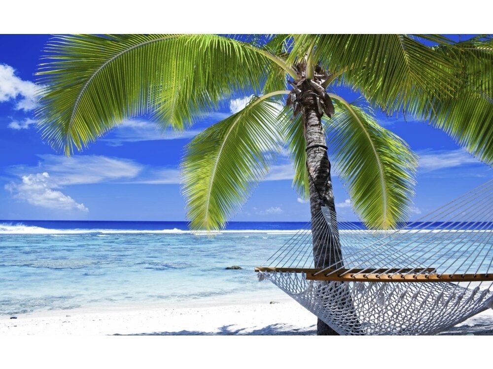 FOR WALL fototapetai 0578VE XXL FOR WALL fototapetai 0578VE XXL