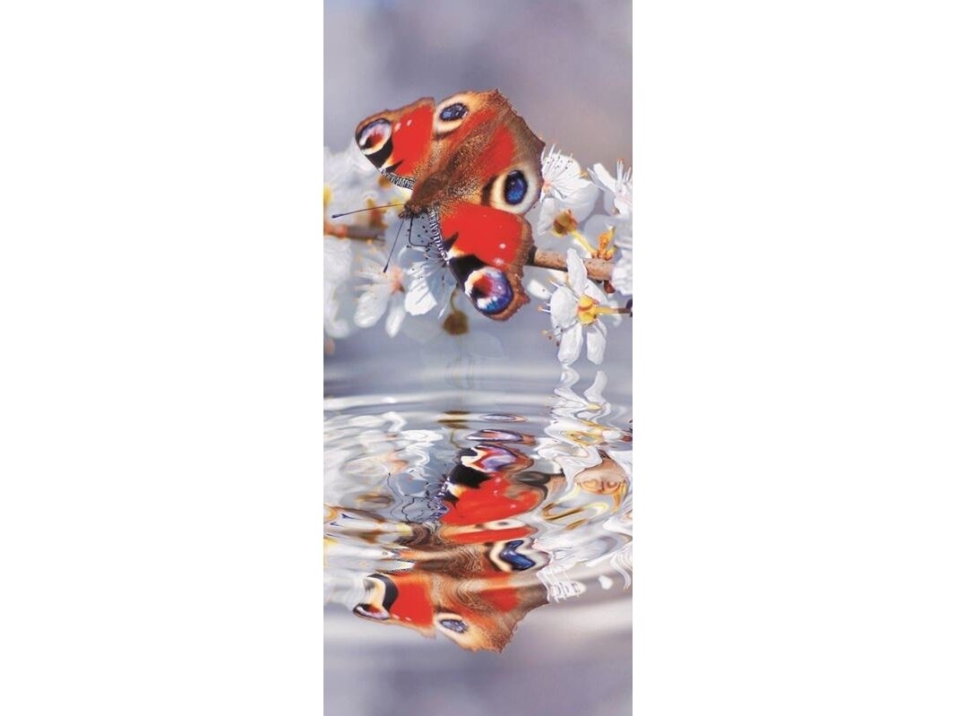 FOR WALL fototapetai 0013VET